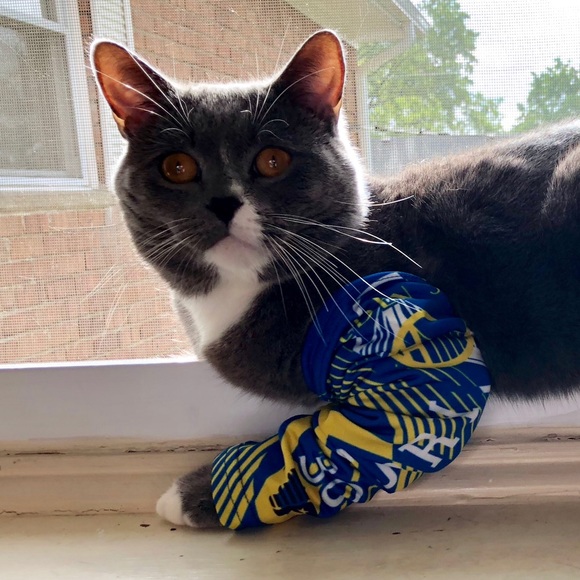 Meet your Posher, Muhammed - Picture 1 of 1